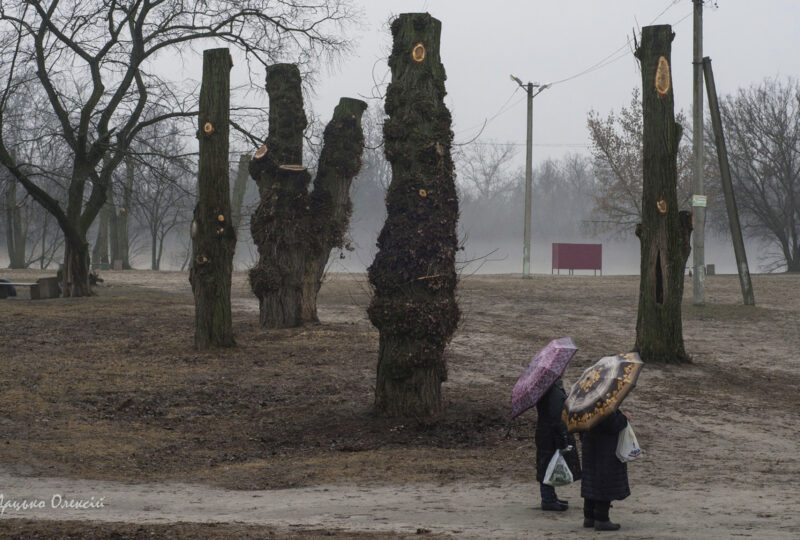 Місцевий Stonehenge, лютий 2023
